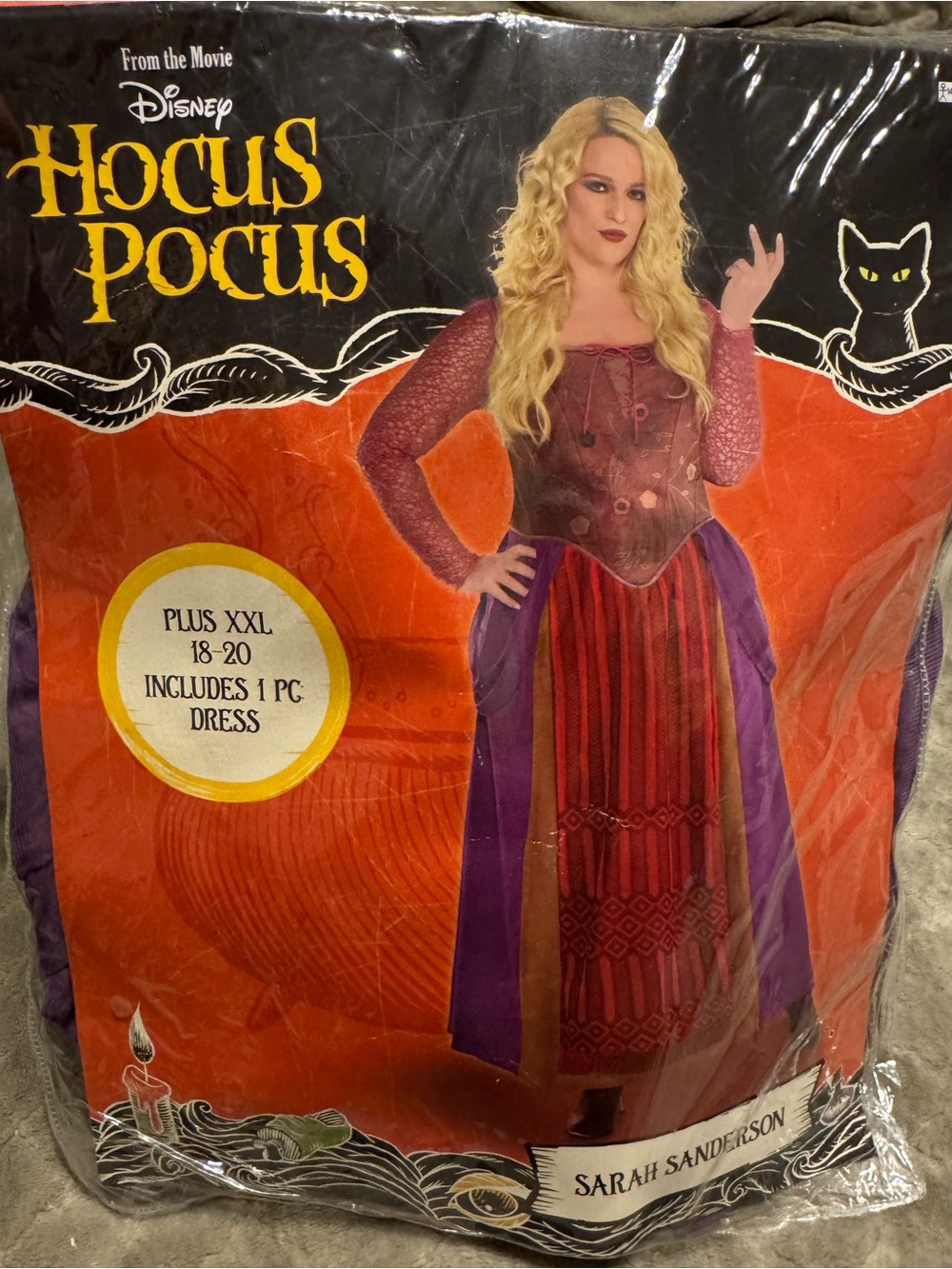 Disney Sarah Sanderson Costume Dress 2xl plus extras